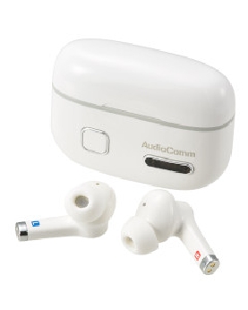 完全ワイヤレス集音器 4971275316997