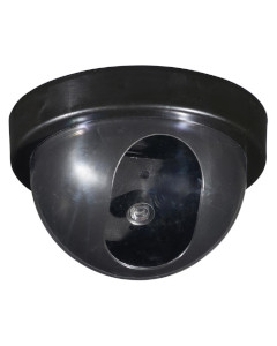 ダミーカメラ 4971275786967