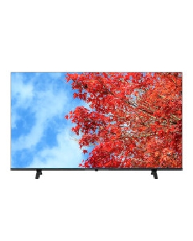 法人向けレグザ　55型4K液晶テレビ 4580652113472